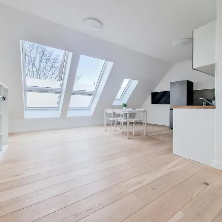 Apartment Tolstov - With 1 Or 2 - 15 Min To Messe Dus And Old Town Dus